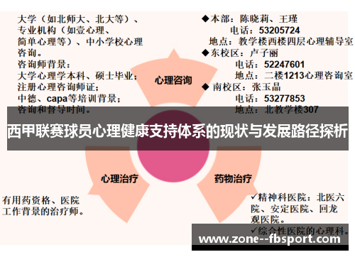 西甲联赛球员心理健康支持体系的现状与发展路径探析
