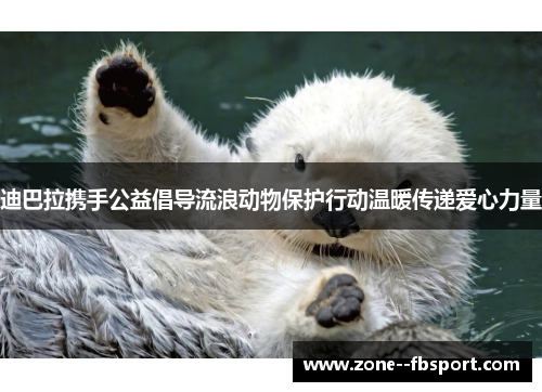 迪巴拉携手公益倡导流浪动物保护行动温暖传递爱心力量